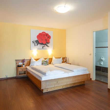 Deva Hotel Renchtalblick Oberkirch  Exteriér fotografie